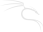 kali linux